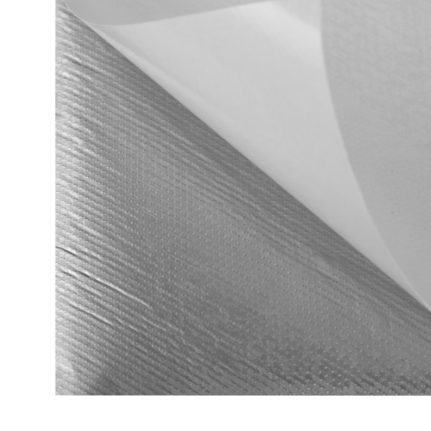 Embossed Copper Ali 2 Resized